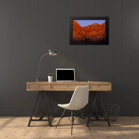 UT, Zion NP Silhouette of barren tree at sunset Black Modern Wood Framed Art Print by Young, Bill
