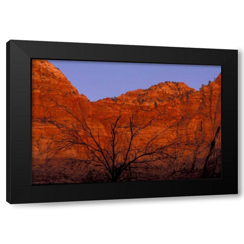 UT, Zion NP Silhouette of barren tree at sunset Black Modern Wood Framed Art Print by Young, Bill