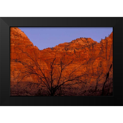 UT, Zion NP Silhouette of barren tree at sunset Black Modern Wood Framed Art Print by Young, Bill