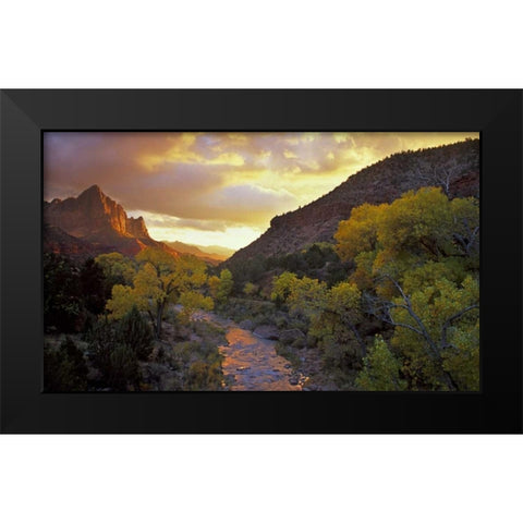 UT, Zion NP  Canyon landscape at sunset Black Modern Wood Framed Art Print by Young, Bill