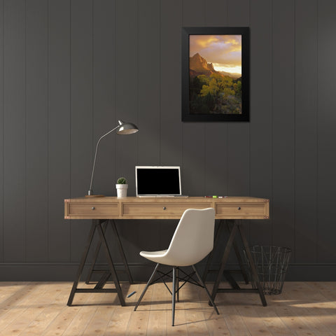 UT, Zion NP  Canyon landscape at sunset Black Modern Wood Framed Art Print by Young, Bill