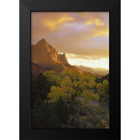 UT, Zion NP  Canyon landscape at sunset Black Modern Wood Framed Art Print by Young, Bill