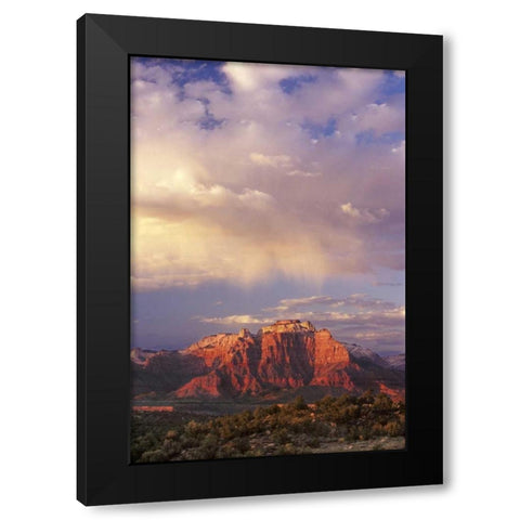 UT, Zion NP Storm over back of West Temple Black Modern Wood Framed Art Print by Welling, Dave