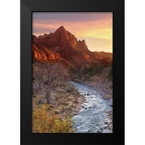 UT, Zion NP The Watchman and Virgin River Black Modern Wood Framed Art Print by Welling, Dave