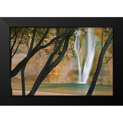 USA, Utah View of Calf Creek Falls through trees Black Modern Wood Framed Art Print by Paulson, Don