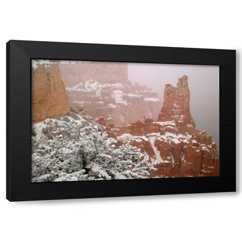 Utah, Bryce Canyon Paria Valley formations Black Modern Wood Framed Art Print with Double Matting by Paulson, Don