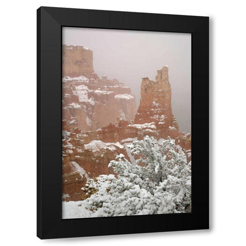 Utah, Bryce Canyon Paria Valley formations Black Modern Wood Framed Art Print with Double Matting by Paulson, Don