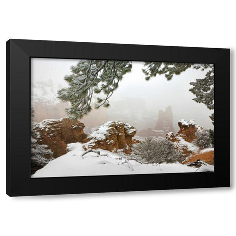 Utah, Bryce Canyon Paria Valley formations Black Modern Wood Framed Art Print with Double Matting by Paulson, Don