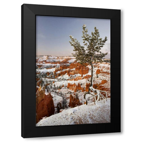 Utah, View of Bryce Canyon in winter Black Modern Wood Framed Art Print with Double Matting by Paulson, Don