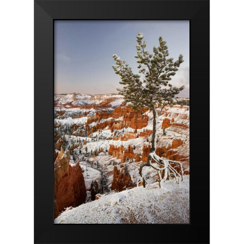 Utah, View of Bryce Canyon in winter Black Modern Wood Framed Art Print by Paulson, Don