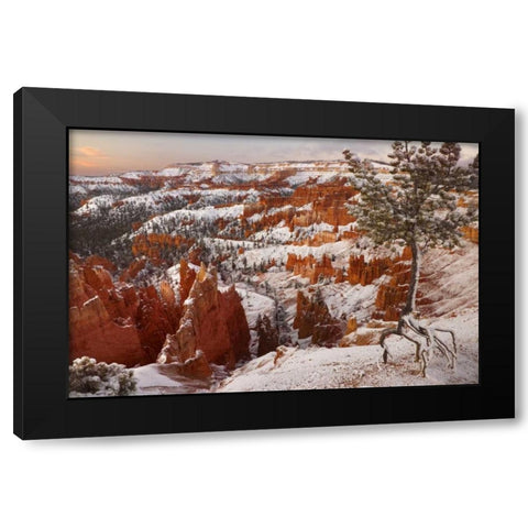 Utah, View of Bryce Canyon in winter Black Modern Wood Framed Art Print by Paulson, Don
