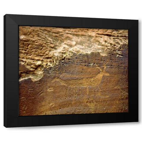 Utah Petroglyph carvings of animals on rock face Black Modern Wood Framed Art Print with Double Matting by Talbot Frank, Christopher