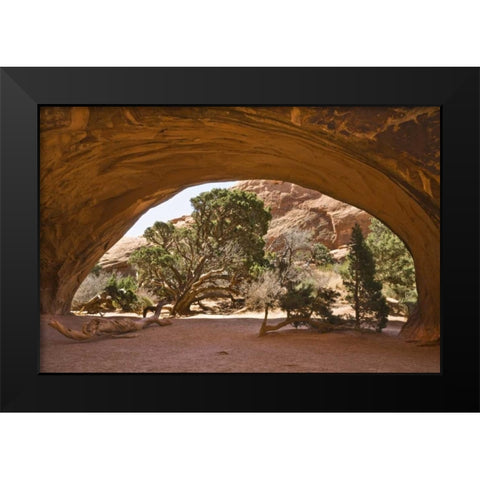 USA, Utah, Arches NP View of cave-like arch Black Modern Wood Framed Art Print by Paulson, Don