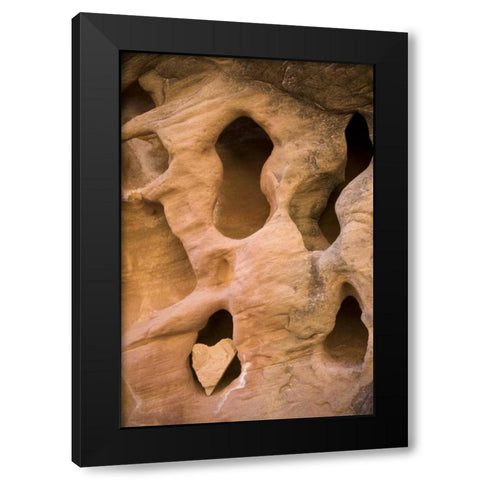 UT, Canyonlands NP Heart-shape rock in sandstone Black Modern Wood Framed Art Print by Paulson, Don