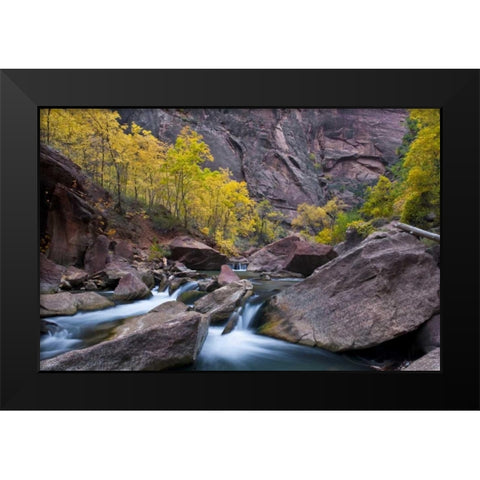 UT, Zion NP Tree lined stream in The Narrows Black Modern Wood Framed Art Print by Rotenberg, Nancy