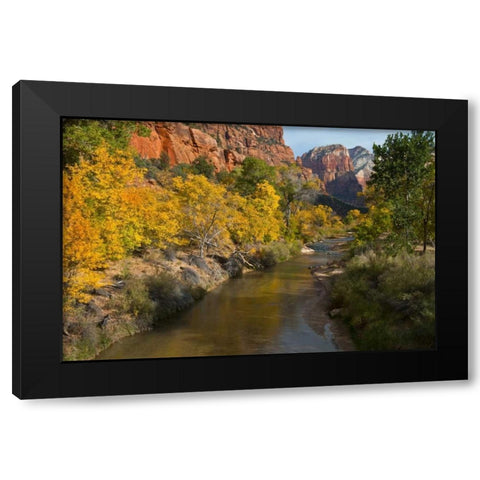 UT, Zion NP Zion Canyon and Virgin River Black Modern Wood Framed Art Print with Double Matting by Rotenberg, Nancy
