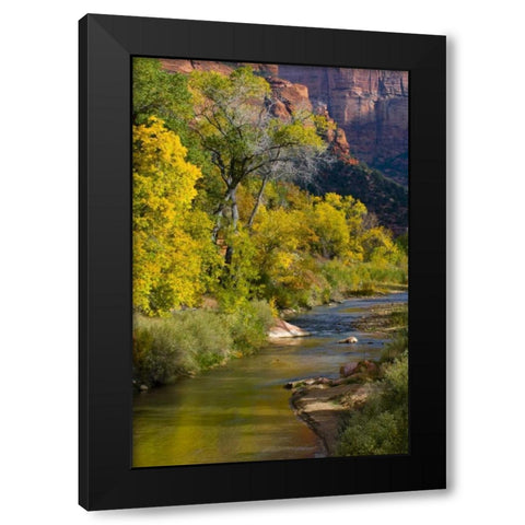 UT, Zion NP Virgin River and cottonwood trees Black Modern Wood Framed Art Print with Double Matting by Rotenberg, Nancy
