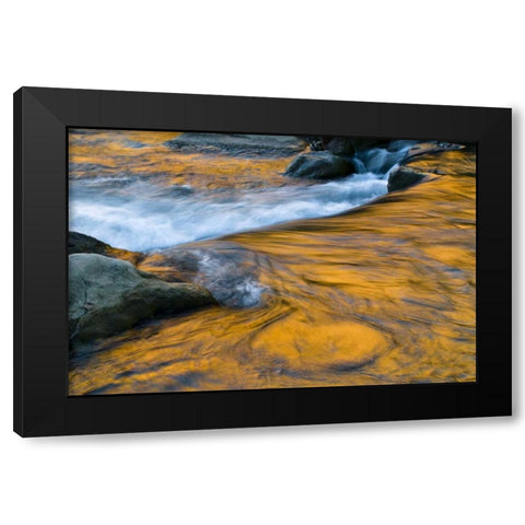 UT, Zion NP Canyon reflections on Virgin River Black Modern Wood Framed Art Print with Double Matting by Rotenberg, Nancy