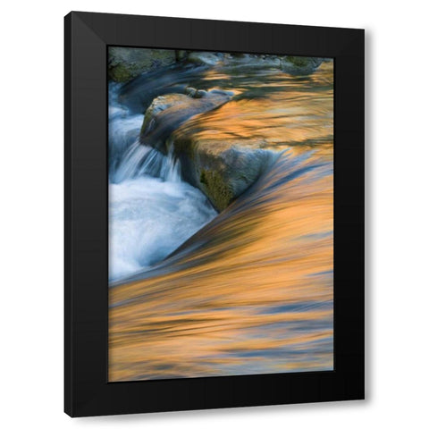 UT, Zion NP Canyon reflections on Virgin River Black Modern Wood Framed Art Print by Rotenberg, Nancy
