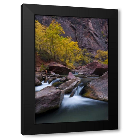 UT, Zion NP Waterfall with cottonwood trees Black Modern Wood Framed Art Print with Double Matting by Rotenberg, Nancy