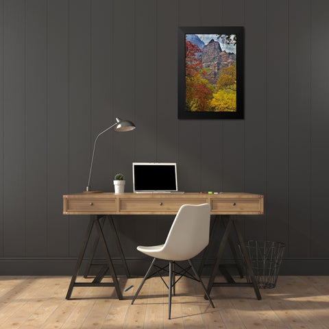 USA, Utah, Zion NP Fall foliage in The Narrows Black Modern Wood Framed Art Print by Rotenberg, Nancy