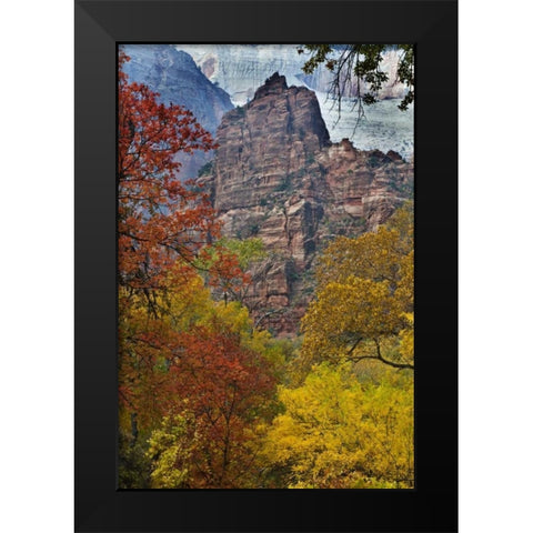 USA, Utah, Zion NP Fall foliage in The Narrows Black Modern Wood Framed Art Print by Rotenberg, Nancy