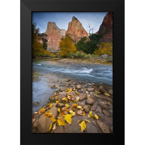 UT, Zion NP The Sentinel and fallen leaves Black Modern Wood Framed Art Print by Rotenberg, Nancy
