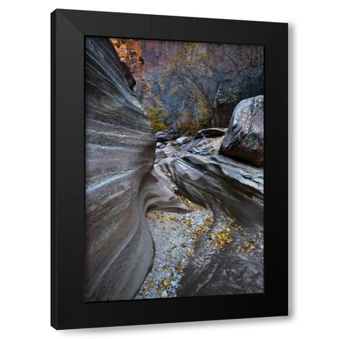 UT, Zion NP Canyon in fall along a Highway Black Modern Wood Framed Art Print by Rotenberg, Nancy