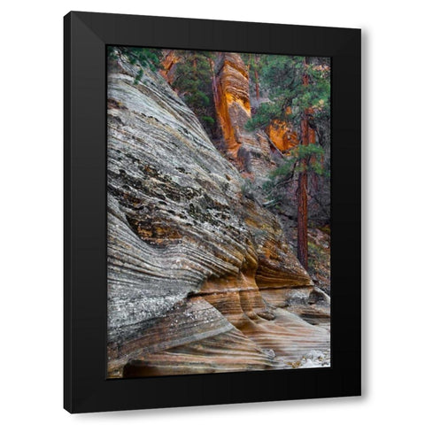Utah, Zion NP Rock formations in Red Rock Canyon Black Modern Wood Framed Art Print with Double Matting by Rotenberg, Nancy