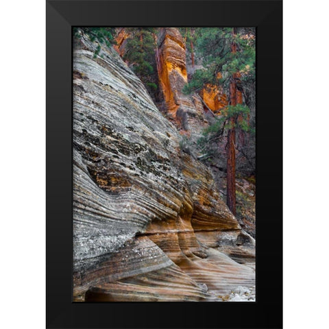 Utah, Zion NP Rock formations in Red Rock Canyon Black Modern Wood Framed Art Print by Rotenberg, Nancy