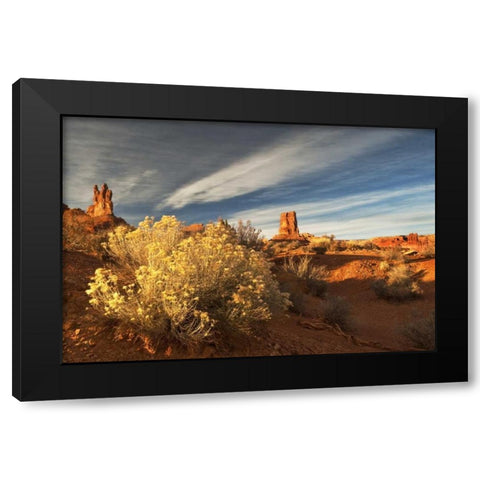 UT, Valley of The Gods Eroded formations Black Modern Wood Framed Art Print with Double Matting by Rotenberg, Nancy