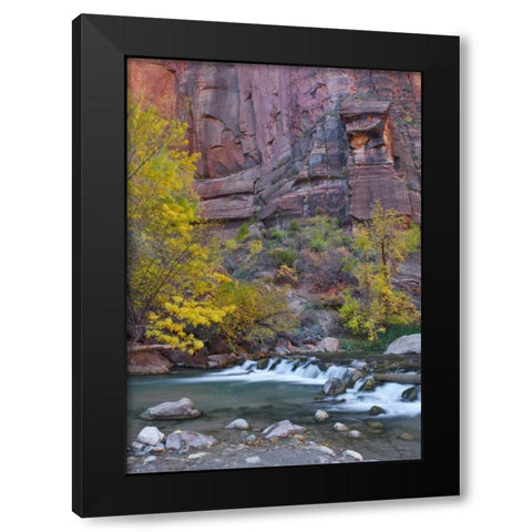 UT, Zion NP The Narrows with cottonwood trees Black Modern Wood Framed Art Print by Rotenberg, Nancy