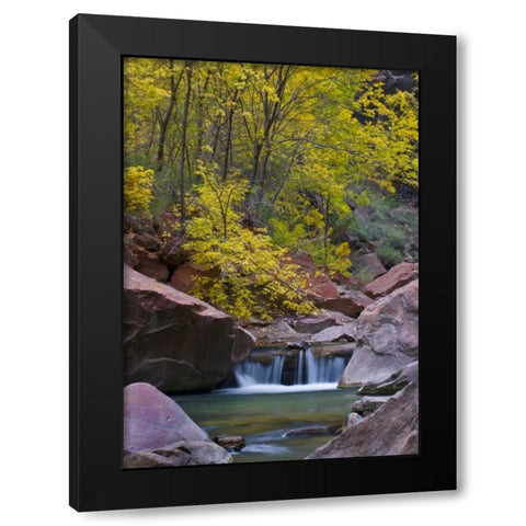 UT, Zion Virgin River waterfall and The Narrows Black Modern Wood Framed Art Print with Double Matting by Rotenberg, Nancy