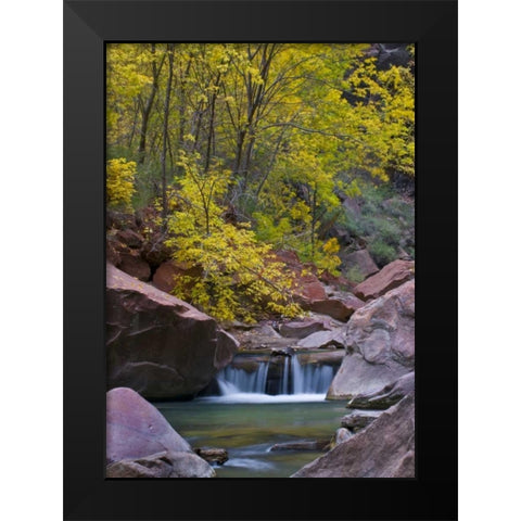 UT, Zion Virgin River waterfall and The Narrows Black Modern Wood Framed Art Print by Rotenberg, Nancy