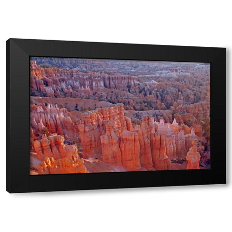 Utah, Bryce Canyon NP Sunrise at Sunset Point Black Modern Wood Framed Art Print by Illg, Cathy and Gordon