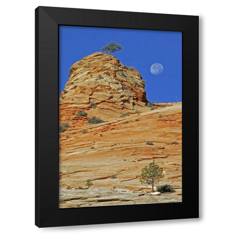 UT, Zion NP Moonset on rock formation Black Modern Wood Framed Art Print with Double Matting by Illg, Cathy and Gordon