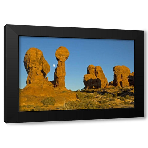 UT, Arches NP Moonrise over Garden of Eden Black Modern Wood Framed Art Print by Illg, Cathy and Gordon