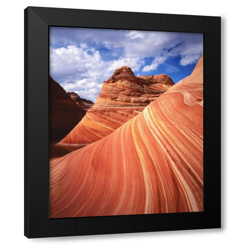 Utah, Paria Canyon The Wave formation, sandstone Black Modern Wood Framed Art Print by Flaherty, Dennis