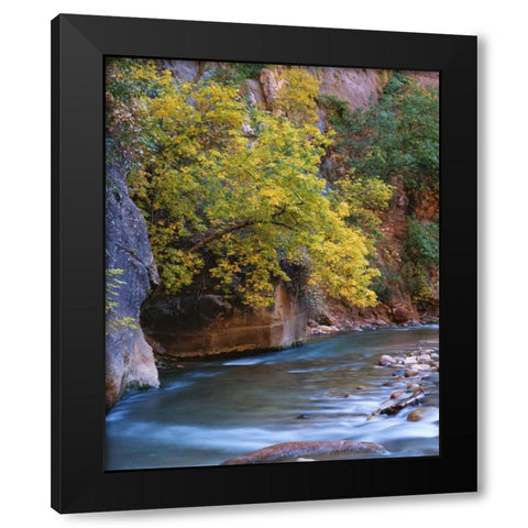 Utah, Zion NP The Virgin River in the Narrows Black Modern Wood Framed Art Print with Double Matting by Flaherty, Dennis
