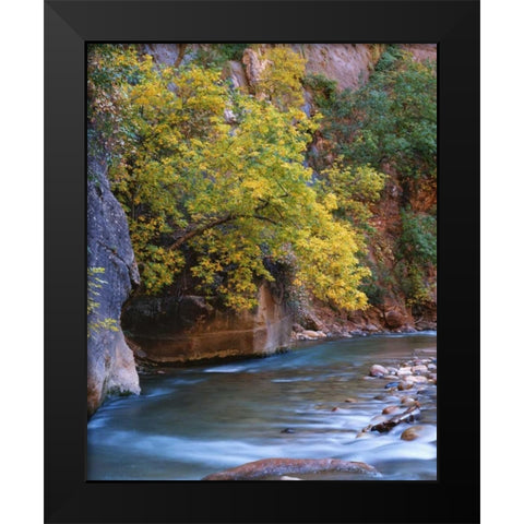 Utah, Zion NP The Virgin River in the Narrows Black Modern Wood Framed Art Print by Flaherty, Dennis