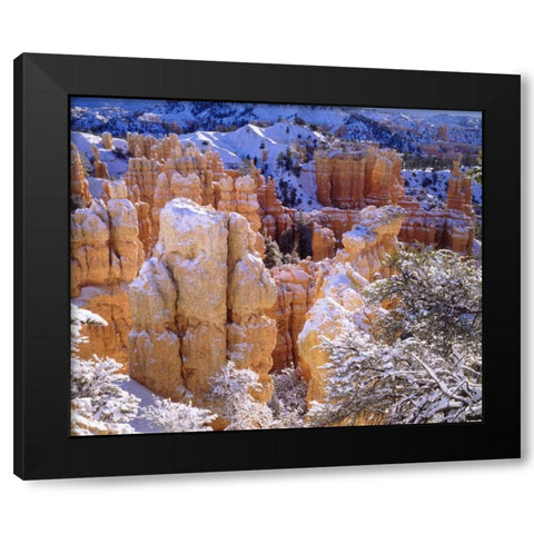 Utah, Bryce Canyon NP in Winter Black Modern Wood Framed Art Print with Double Matting by Talbot Frank, Christopher