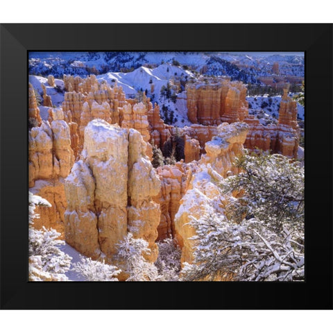 Utah, Bryce Canyon NP in Winter Black Modern Wood Framed Art Print by Talbot Frank, Christopher