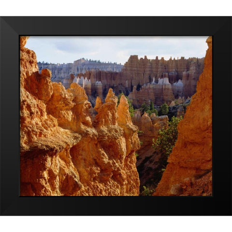 Utah, Bryce Canyon NP Sandstone formations Black Modern Wood Framed Art Print by Talbot Frank, Christopher