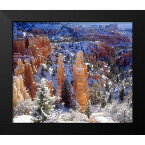 USA, Utah, Bryce Canyon NP Winter Black Modern Wood Framed Art Print by Talbot Frank, Christopher
