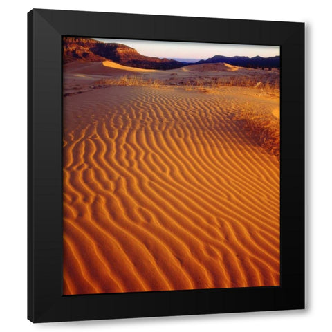 USA, Utah Coral Pink Sand Dunes at sunset Black Modern Wood Framed Art Print by Talbot Frank, Christopher