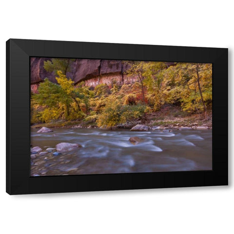 USA, Utah, Zion NP Autumn on the Virgin River Black Modern Wood Framed Art Print with Double Matting by Illg, Cathy and Gordon