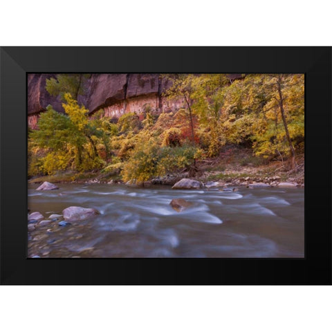 USA, Utah, Zion NP Autumn on the Virgin River Black Modern Wood Framed Art Print by Illg, Cathy and Gordon