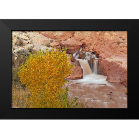 UT, Capitol Reef NP Waterfall on Fremont River Black Modern Wood Framed Art Print by Illg, Cathy and Gordon