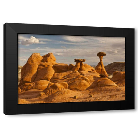 UT, Grand Staircase Escalante NM Toadstools Black Modern Wood Framed Art Print with Double Matting by Illg, Cathy and Gordon