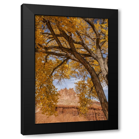 UT, Capitol Reef The Castle rock formation Black Modern Wood Framed Art Print with Double Matting by Illg, Cathy and Gordon